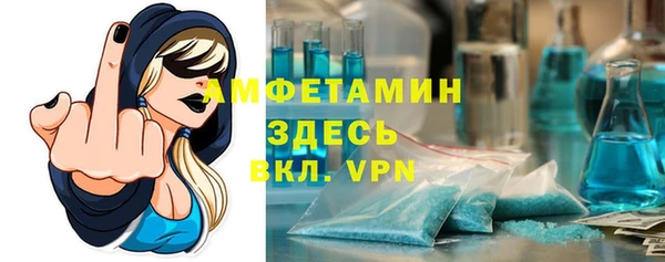 сатива Новодвинск
