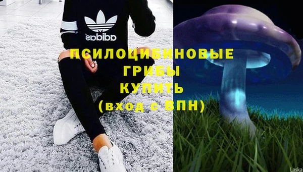 соль ск Алексин