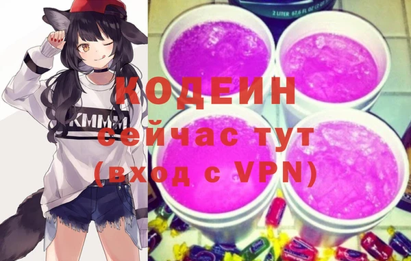 прущий лед Алзамай
