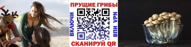 Псилоцибиновые грибы GOLDEN TEACHER Купить где Валдай